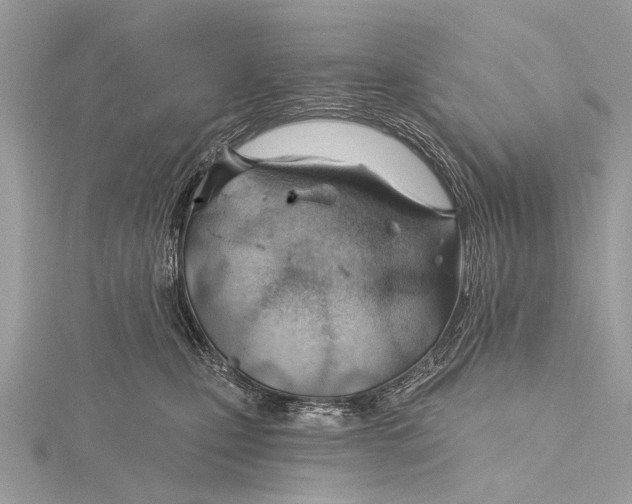 X0000115770471200912041435