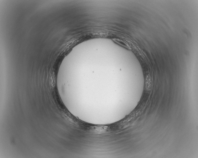 X0000115770474200912041435