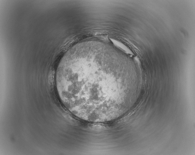 X0000115770475200912041435