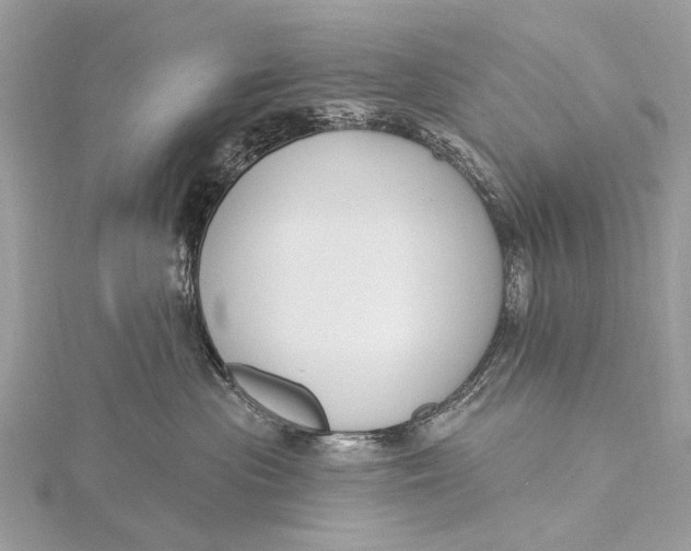 X0000115770477200912041435