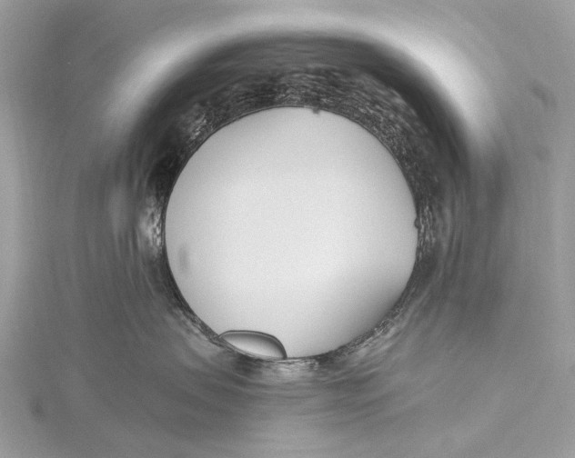 X0000115770479200912041435