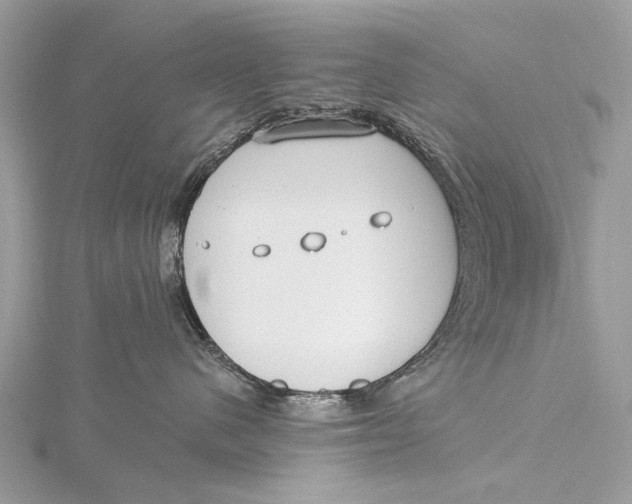 X0000115770480200912041435