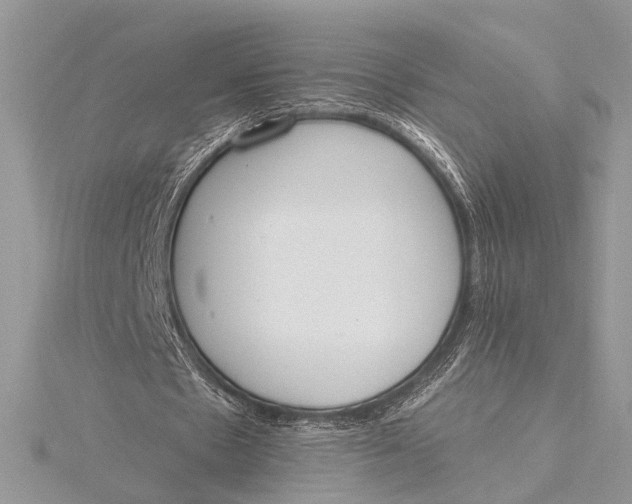 X0000115770481200912041434