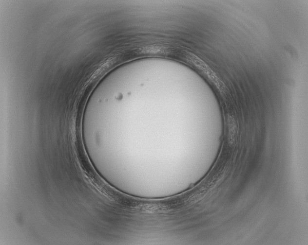 X0000115770482200912041434