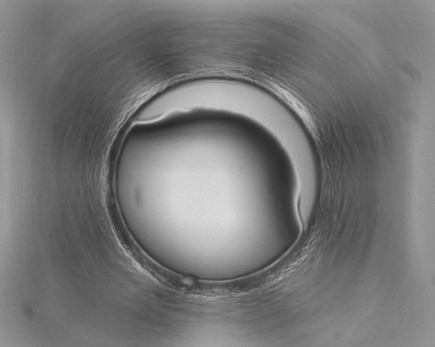 X0000115770485200912041434