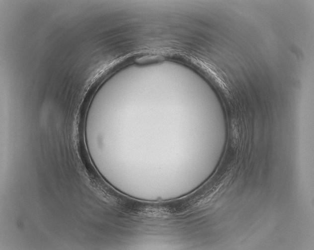 X0000115770487200912041434