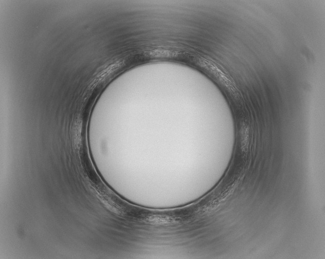 X0000115770490200912041434