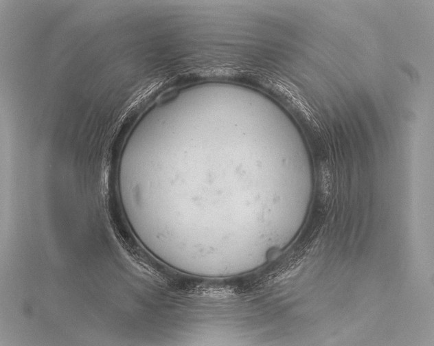 X0000115770491200912041434