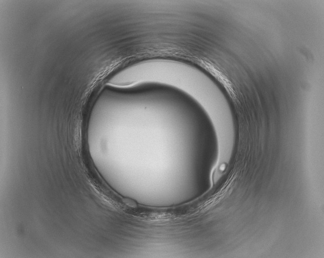 X0000115770493200912041434