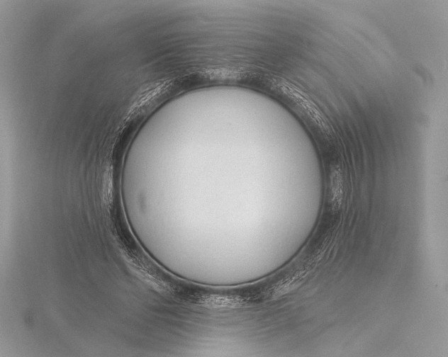 X0000115770494200912041434