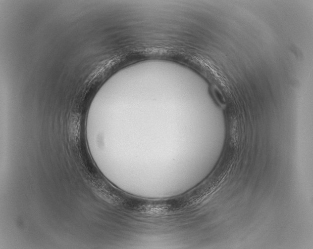 X0000115770495200912041434