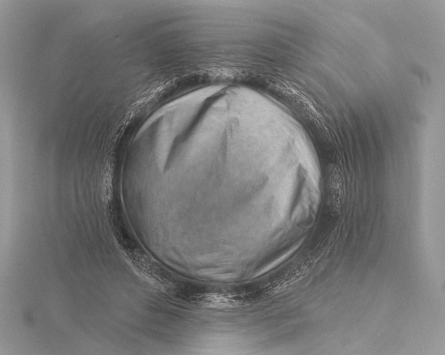 X0000115770496200912041434