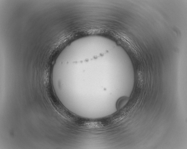 X0000115770499200912041434