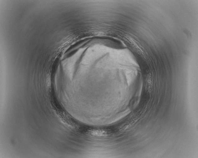 X0000115770500200912041434