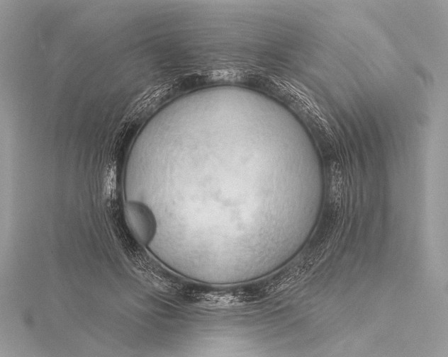 X0000115770502200912041434