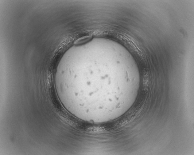 X0000115770503200912041434