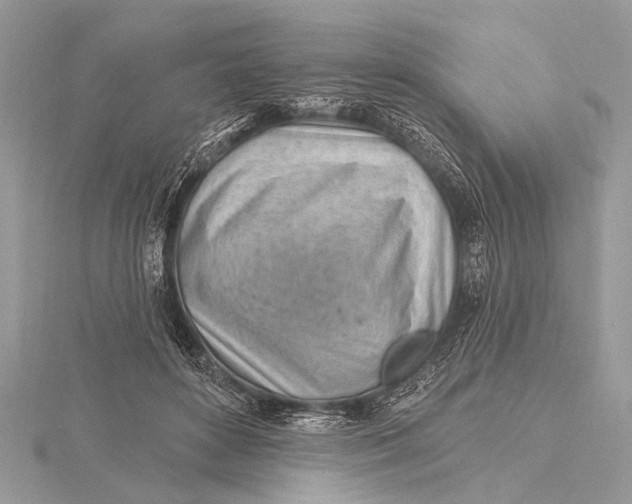 X0000115770504200912041434