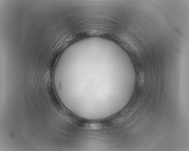 X0000115770506200912041434