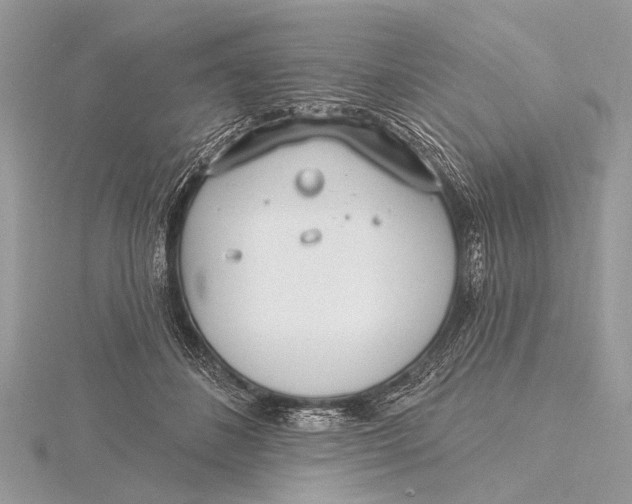 X0000115770508200912041434