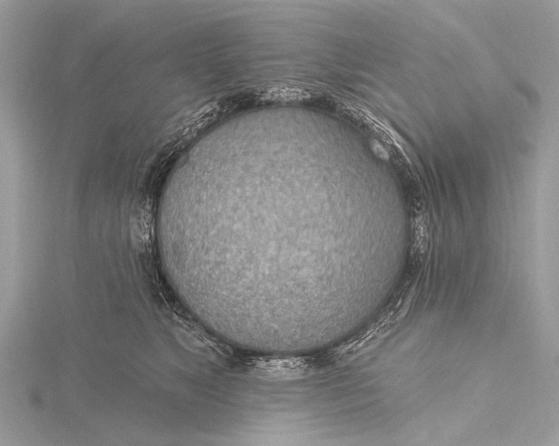 X0000115770517200912041434