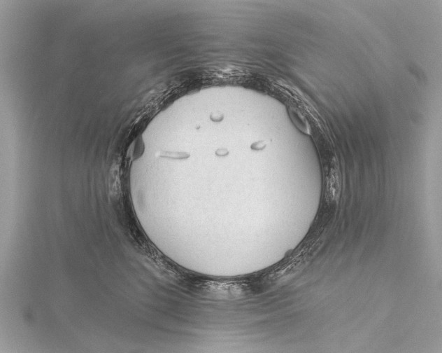 X0000115770520200912041434