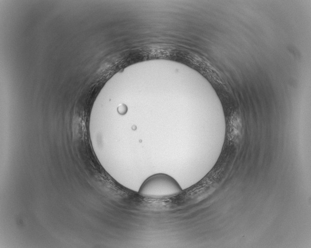 X0000115770522200912041434