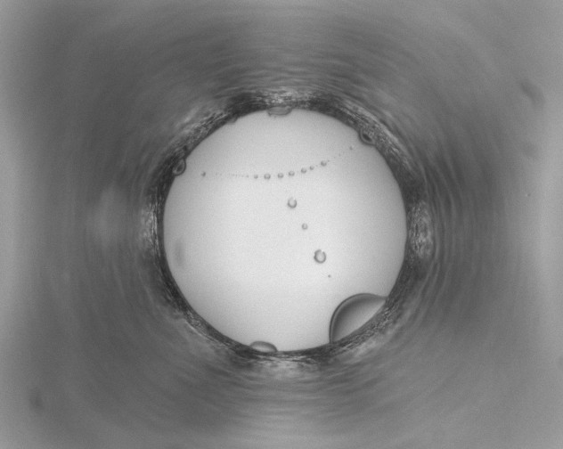 X0000115770523200912041434