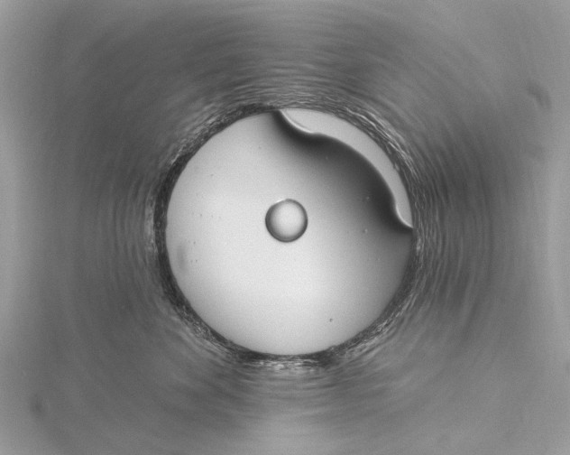 X0000115770524200912041434