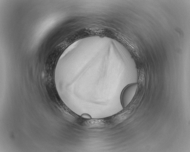 X0000115770526200912041434