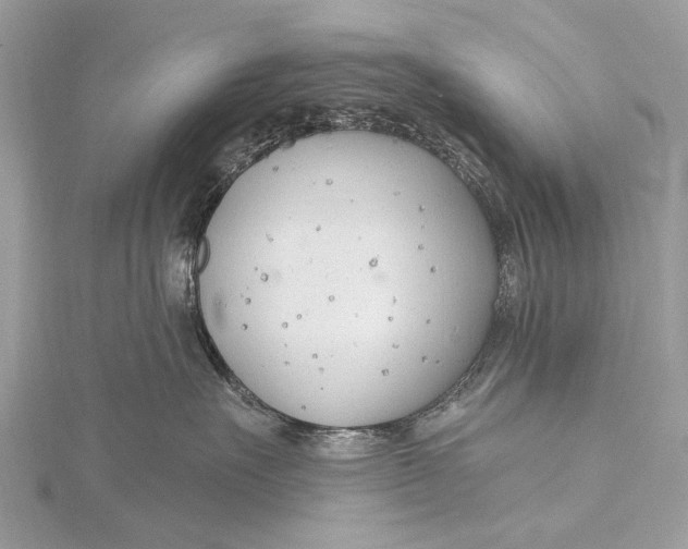 X0000115770527200912041434