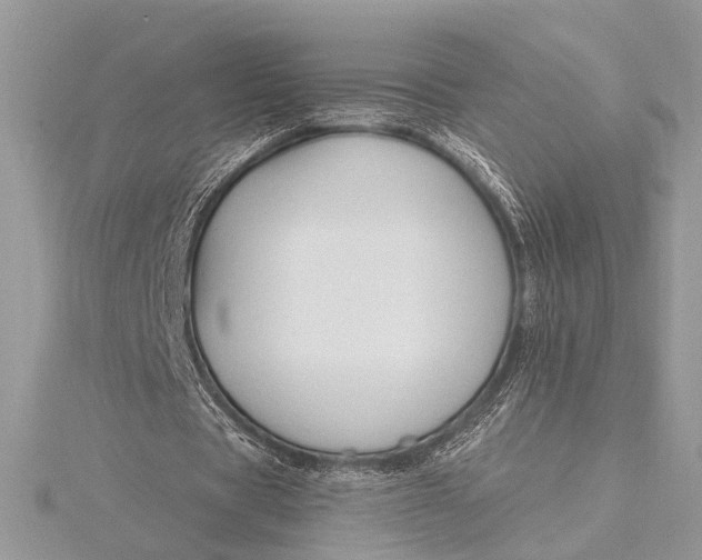 X0000115770529200912041433