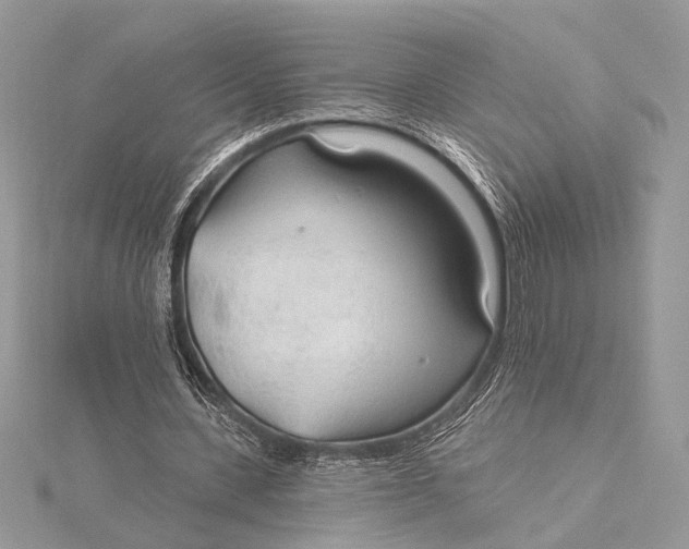 X0000115770531200912041433