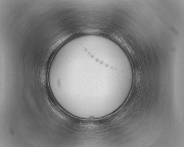 X0000115770533200912041433