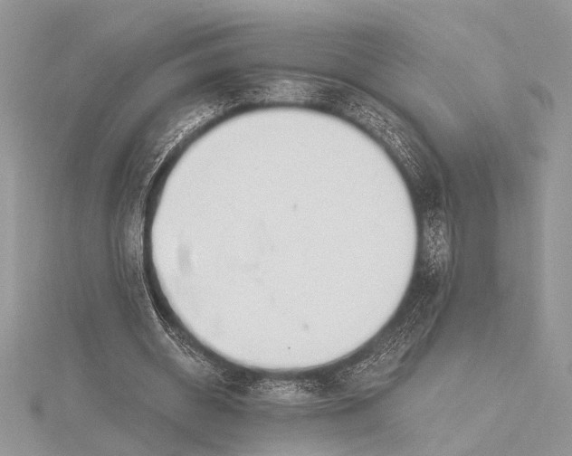 X0000115770534200912041433