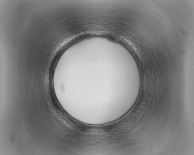 X0000115770535200912041433