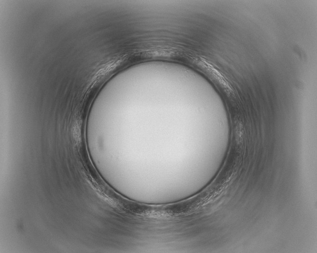 X0000115770537200912041433