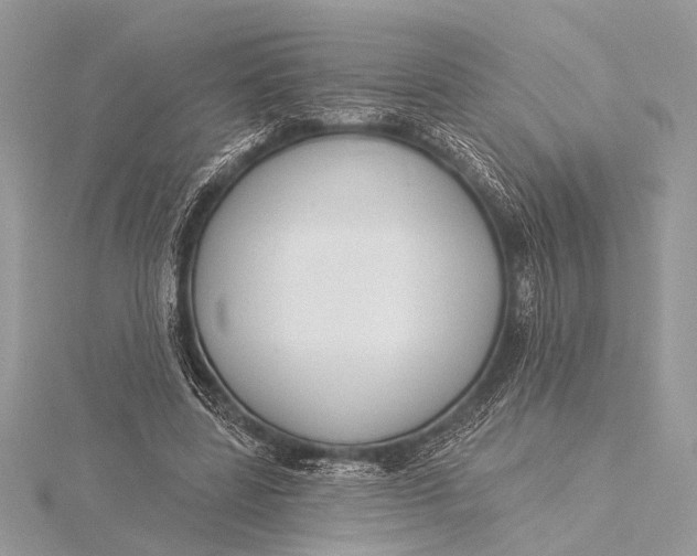 X0000115770539200912041433