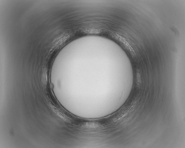 X0000115770541200912041433