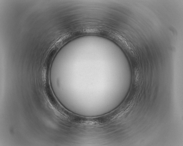 X0000115770542200912041433