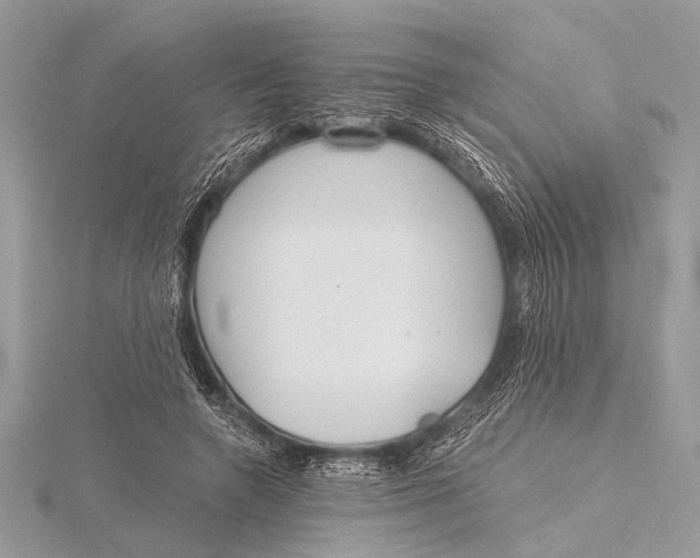 X0000115770546200912041433