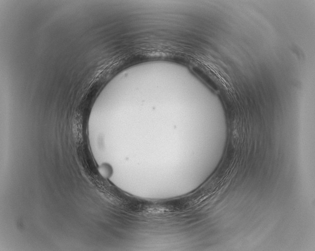 X0000115770547200912041433