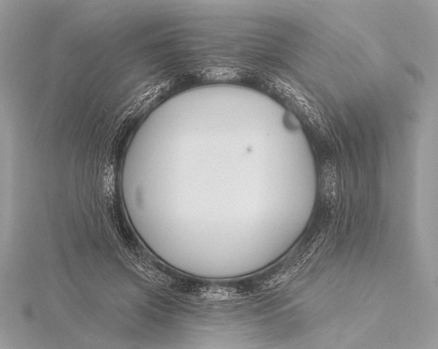 X0000115770549200912041433