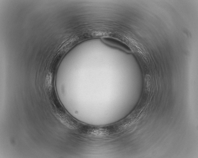 X0000115770550200912041433