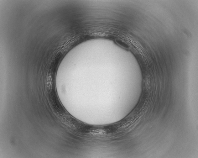 X0000115770551200912041433