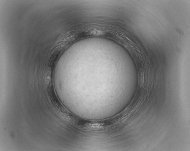 X0000115770553200912041434