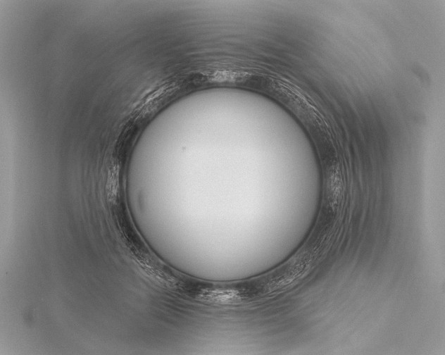 X0000115770554200912041434