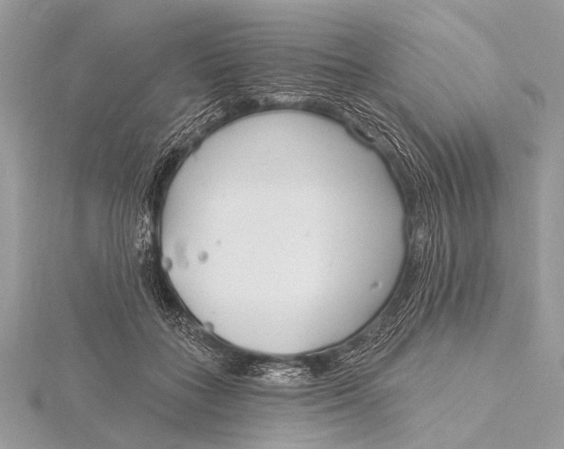 X0000115770555200912041434