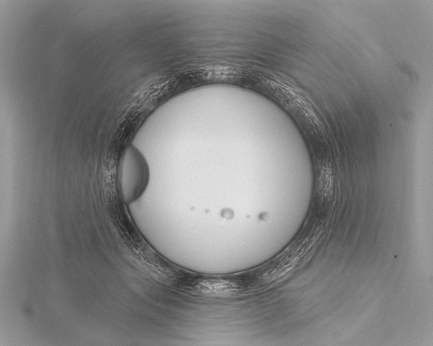 X0000115770557200912041434