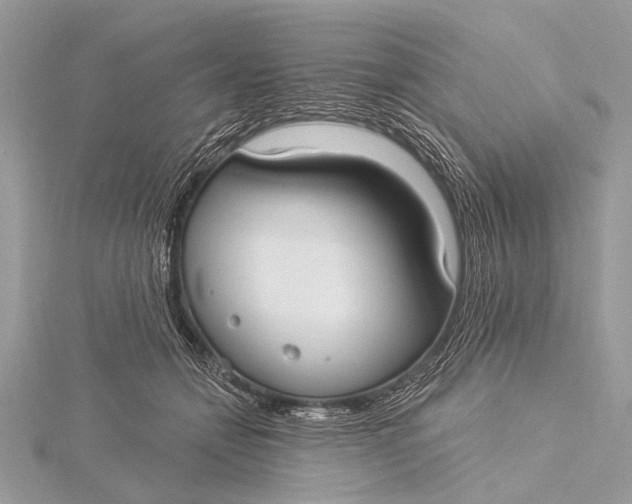 X0000115770558200912041434