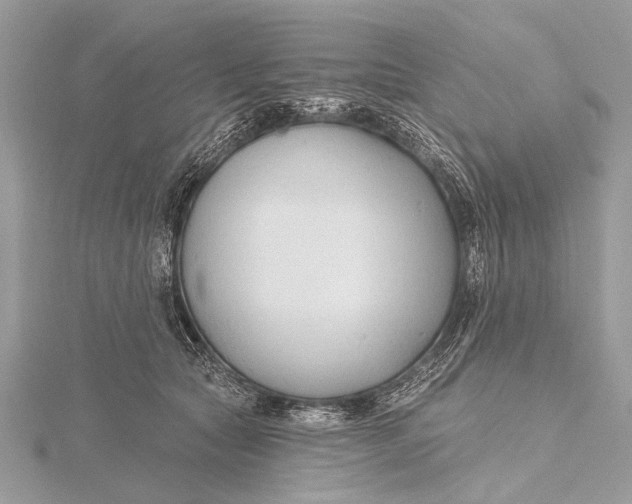 X0000115770561200912041434